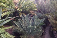 g-img_155_garden_above_dam_5