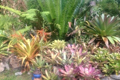g-img_167_back_garden_1