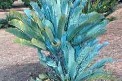 Aloe landscape painting