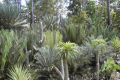g-img_036_the_back_garden