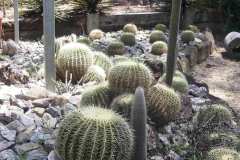 g-img_044_garden_tour