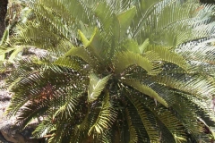 g-img_057_garden_tour