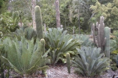 g-img_118_side_garden_2