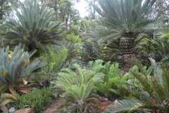 g-img_119_back_garden_4