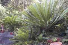 g-img_120_front_garden_2