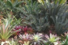 g-img_121_back_garden_5